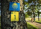 Zwei Wanderer sind am Frauenberg unterwegs. Rechts hängen an einem Baum zwei Wanderwegschilder, die den Weg weisen.