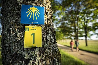 Wanderer am Frauenberg Eichstätt Zwei Wanderer sind am Frauenberg unterwegs. Rechts hängen an einem Baum zwei Wanderwegschilder, die den Weg weisen.