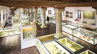 Archäologisches Museum der Stadt Kelheim Von oben ist auf den Raum mit den vielen weißen Vitrinen fotografiert worden. Die Decke und der Fußboden sind aus dunklem Holz.