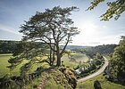 Yoga auf den Zwölf Aposteln bei Solnhofen Frau sitzt unter großem Baum auf Felsen mit Blick auf Fluss, Straße und grüne Landschaft bei Sonnenschein.