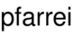 pfarrei